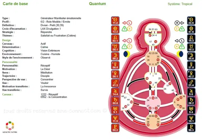 charte vierge copyright ame connect web – L'human-design