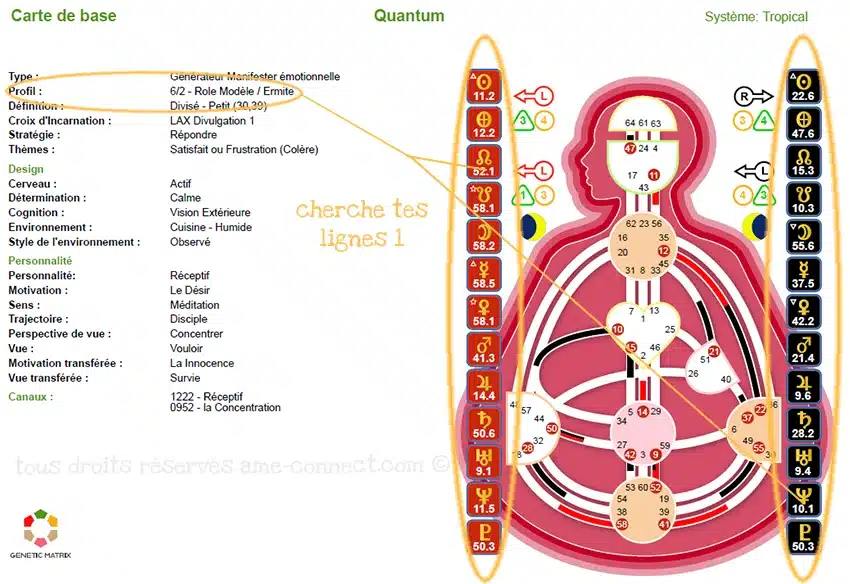 chercher sa ligne 1 hd web – La ligne 1 de profil en Human-Design