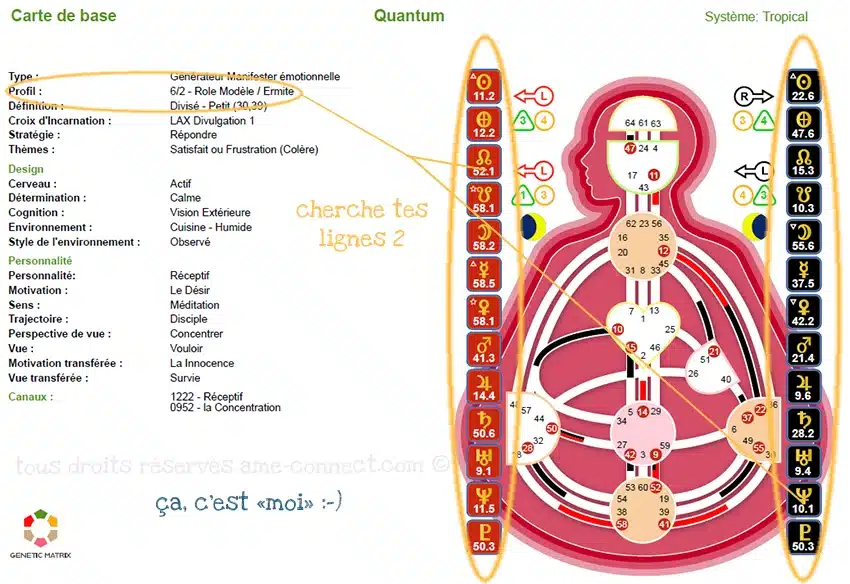 lignes 2 hd web – La ligne 2 de profil en Human-Design