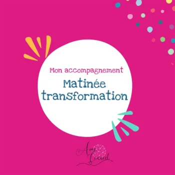 Lire la suite à propos de l’article Accompagnement la matinée transformation