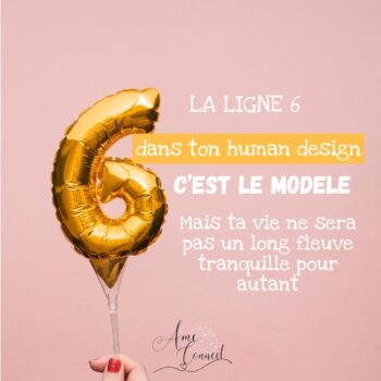 Lire la suite à propos de l’article La ligne 6 de profil en Human-Design