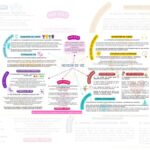 mindmapping – L'human-design