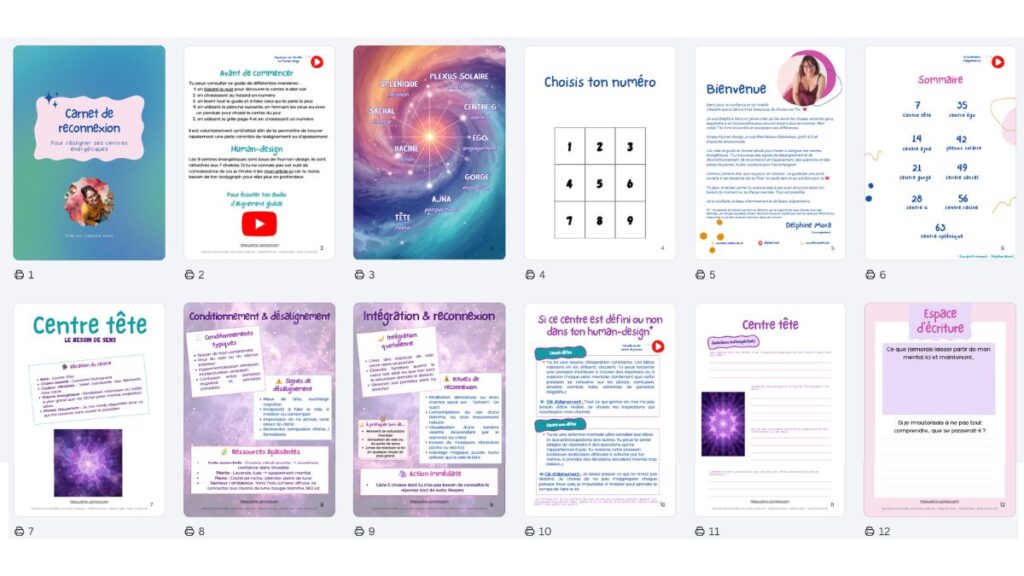 extrait ebook carnet de reconnexion &ndash; Carnet d'alignement de tes 9 centres